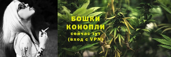 сатива Верхний Тагил