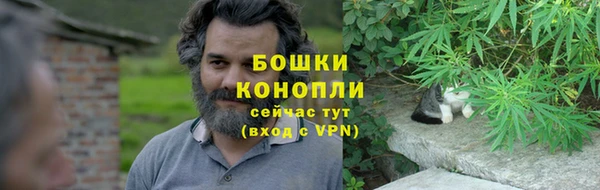 сатива Верхний Тагил