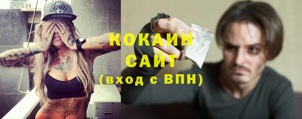 сатива Верея