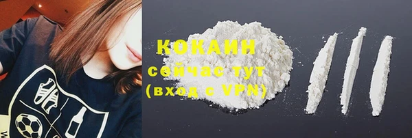 сатива Верея