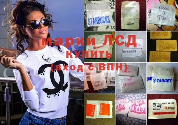 сатива Верхний Тагил